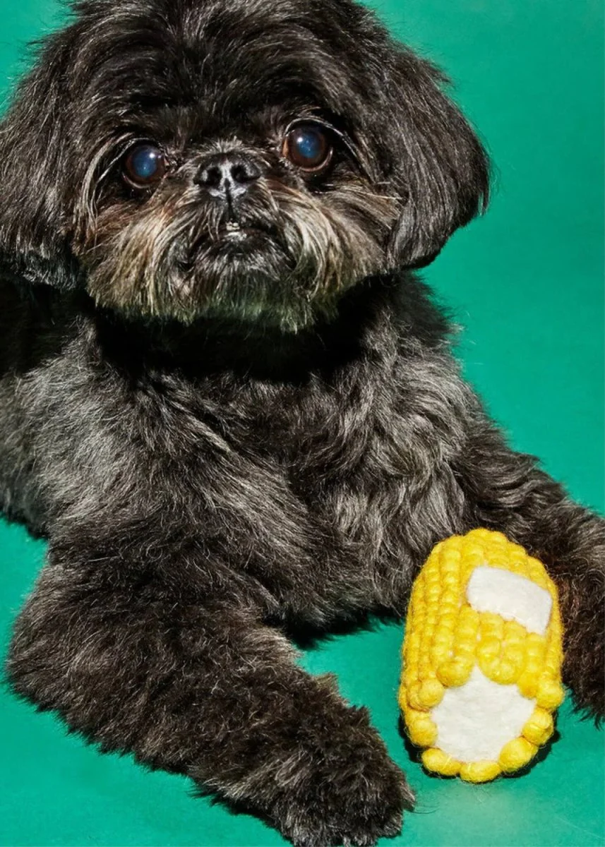 Miniature 5